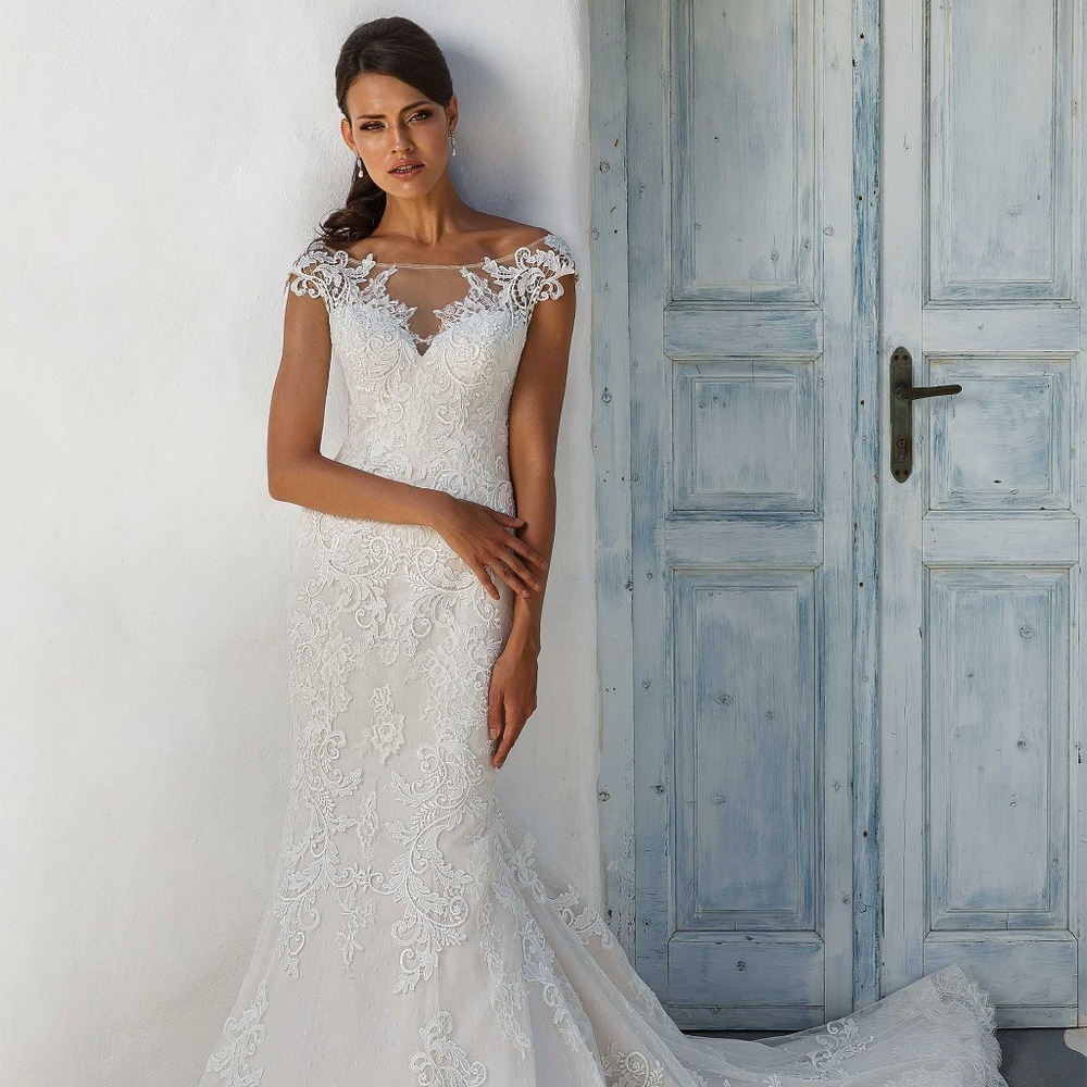 Illusion Lace Off the Shoulder Fit and Flare Gown with Open Back  8954 Size 26